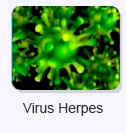 Virus Herpes